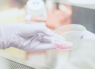 A superabsorbent (SAP) dressing designed to sequester and retain MRSA bacteria inside the core during a 7-day test